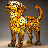 Rex Fermecat